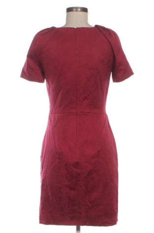 Kleid Coast, Größe S, Farbe Rot, Preis 56,99 €