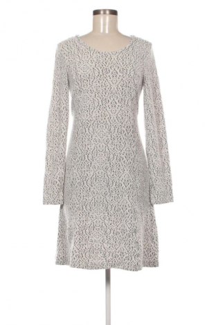 Kleid Cream, Größe M, Farbe Mehrfarbig, Preis € 57,99