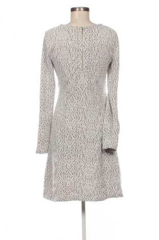 Kleid Cream, Größe M, Farbe Mehrfarbig, Preis € 57,99