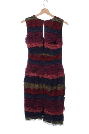 Kleid French Connection, Größe XS, Farbe Mehrfarbig, Preis € 41,99