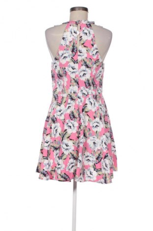 Kleid Hollister, Größe M, Farbe Mehrfarbig, Preis € 32,99
