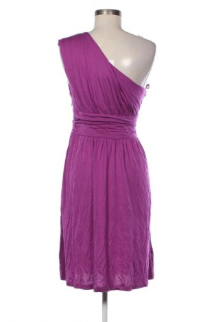 Φόρεμα Loft By Ann Taylor, Μέγεθος M, Χρώμα Βιολετί, Τιμή 23,99 €