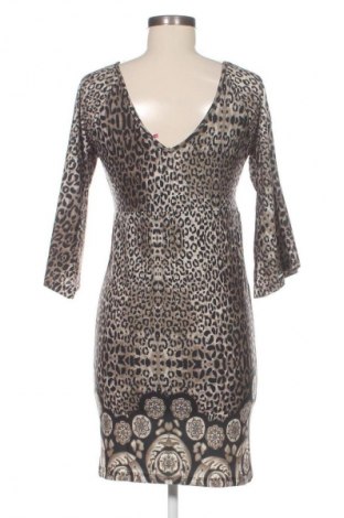 Kleid Melrose, Größe M, Farbe Mehrfarbig, Preis 24,00 €
