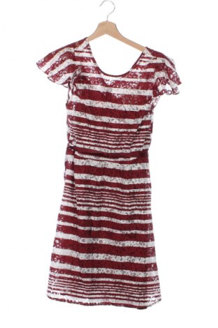 Kleid Mint & Berry, Größe XS, Farbe Mehrfarbig, Preis € 14,99