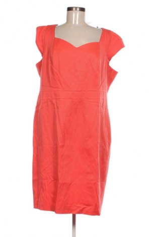 Kleid Monsoon, Größe L, Farbe Rosa, Preis € 33,99