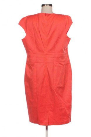 Kleid Monsoon, Größe L, Farbe Rosa, Preis € 33,99