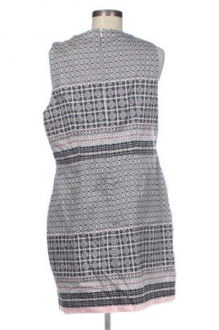 Φόρεμα New Look, Μέγεθος XL, Χρώμα Πολύχρωμο, Τιμή 13,99 €