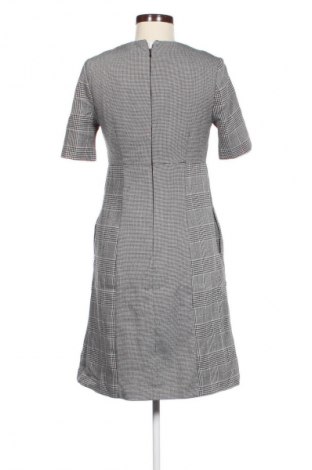 Kleid Next, Größe M, Farbe Mehrfarbig, Preis 6,99 €