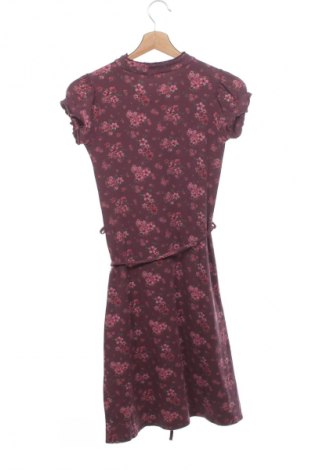 Kleid Orsay, Größe XS, Farbe Mehrfarbig, Preis € 4,99