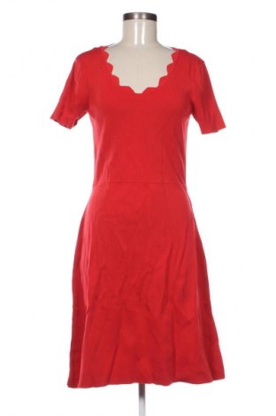 Kleid Promiss, Größe M, Farbe Rot, Preis 33,99 €