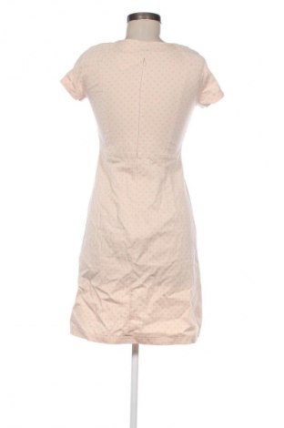 Φόρεμα Rosita, Μέγεθος S, Χρώμα Πολύχρωμο, Τιμή 4,99 €