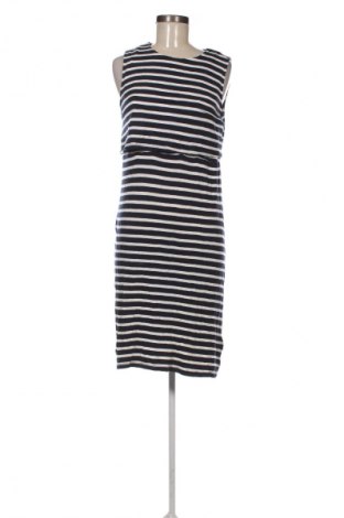 Kleid Topshop, Größe M, Farbe Mehrfarbig, Preis € 33,99