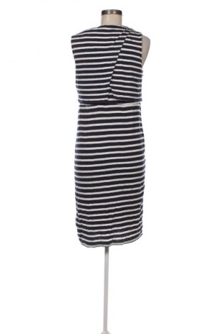 Kleid Topshop, Größe M, Farbe Mehrfarbig, Preis € 33,99