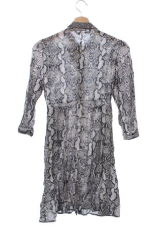 Kleid Zara, Größe XS, Farbe Mehrfarbig, Preis € 23,99