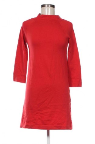 Kleid Zara Knitwear, Größe S, Farbe Rot, Preis € 33,99