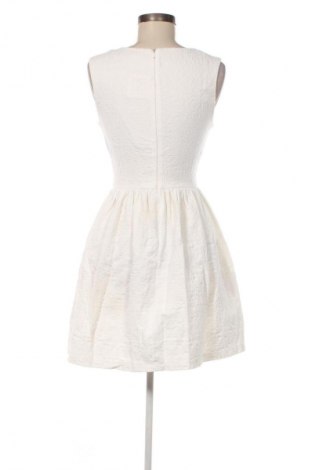 Kleid Zara Trafaluc, Größe L, Farbe Weiß, Preis 33,99 €