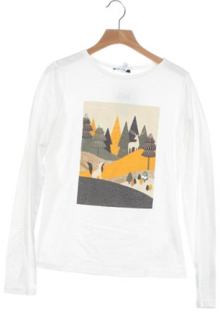 Kinder Shirt Okaidi, Größe 11-12y/ 152-158 cm, Farbe Weiß, Baumwolle, Preis 10,05 €