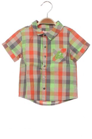 Детска риза Du Pareil Au Meme, Размер 9-12m/ 74-80 см, Цвят Многоцветен, Памук, Цена 9,80 лв.