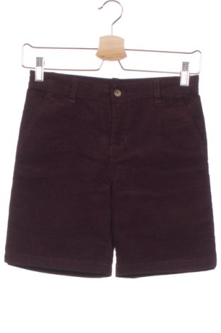 Детски къс панталон Gocco, Размер 7-8y/ 128-134 см, Цвят Лилав, 70% памук, 28% полиестер, 2% еластан, Цена 14,04 лв.