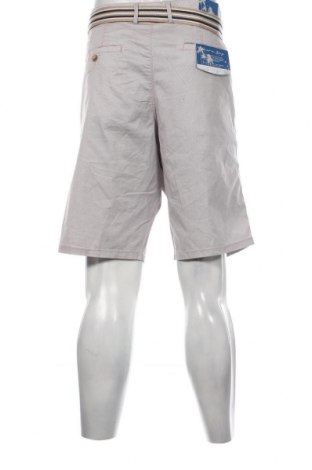 Мъжки къс панталон Christian Berg, Размер 3XL, Цвят Сив, Цена 96,00 лв.