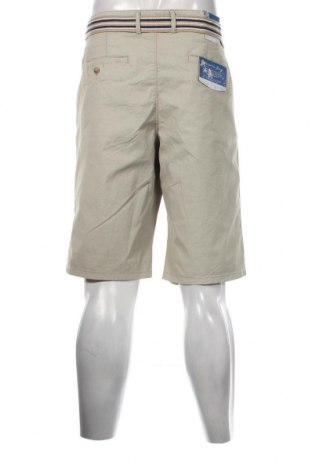 Мъжки къс панталон Christian Berg, Размер XXL, Цвят Зелен, Цена 96,00 лв.