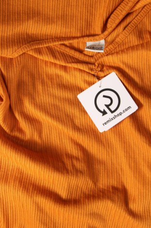 Damen Shirt 17 & Co., Größe S, Farbe Orange, Preis € 1,98