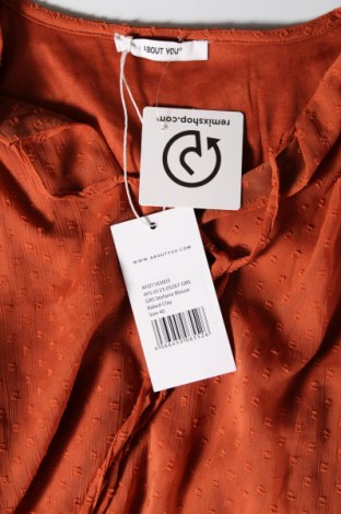 Γυναικεία μπλούζα About You, Μέγεθος M, Χρώμα Πορτοκαλί, Τιμή 3,09 €