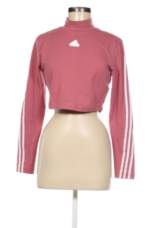 Γυναικεία μπλούζα Adidas, Μέγεθος M, Χρώμα Εκρού, Τιμή 14,84 €