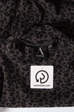 Γυναικεία μπλούζα Anastacia, Μέγεθος S, Χρώμα Πολύχρωμο, Τιμή 2,70 €