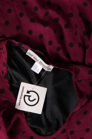 Γυναικεία μπλούζα Ashley Brooke, Μέγεθος S, Χρώμα Βιολετί, Τιμή 3,06 €