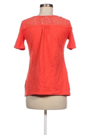 Γυναικεία μπλούζα Betty Barclay, Μέγεθος M, Χρώμα Κόκκινο, Τιμή 8,41 €