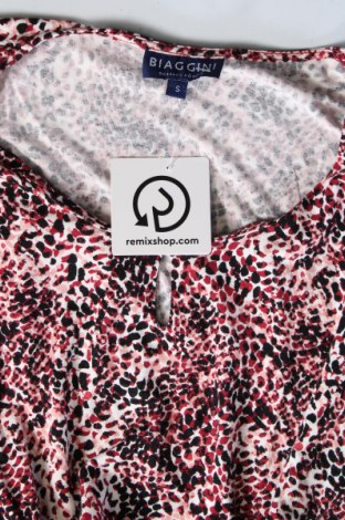 Damen Shirt Biaggini, Größe S, Farbe Mehrfarbig, Preis € 13,22