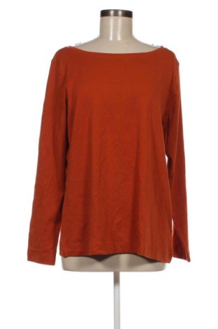 Γυναικεία μπλούζα C&A, Μέγεθος L, Χρώμα Καφέ, Τιμή 11,75 €