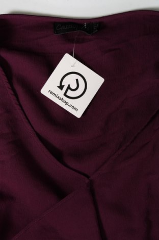 Γυναικεία μπλούζα Cassiopeia, Μέγεθος XL, Χρώμα Βιολετί, Τιμή 11,75 €