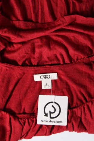 Damen Shirt Cato, Größe S, Farbe Rot, Preis 9,72 €