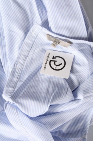 Γυναικεία μπλούζα Clockhouse, Μέγεθος XL, Χρώμα Μπλέ, Τιμή 5,19 €