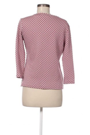 Γυναικεία μπλούζα Collection L, Μέγεθος M, Χρώμα Πολύχρωμο, Τιμή 3,64 €