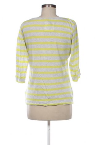 Damen Shirt Colours Of The World, Größe M, Farbe Mehrfarbig, Preis 2,92 €