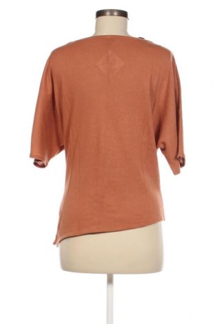 Damen Shirt Cotton Candy, Größe XS, Farbe Braun, Preis € 3,50