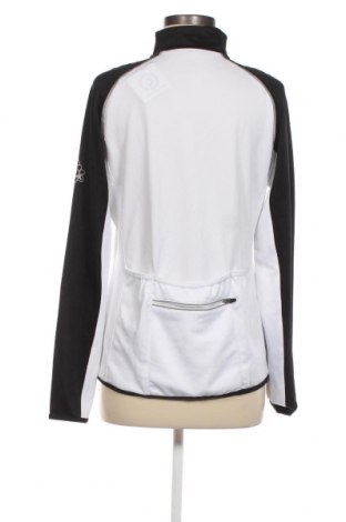 Γυναικεία μπλούζα Crane, Μέγεθος M, Χρώμα Πολύχρωμο, Τιμή 4,27 €