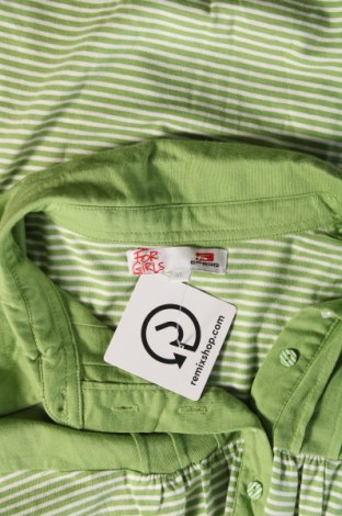 Damen Shirt Cropp, Größe XL, Farbe Grün, Preis 12,02 €