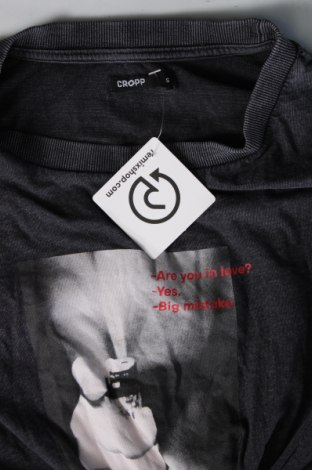 Damen Shirt Cropp, Größe S, Farbe Grau, Preis 12,23 €