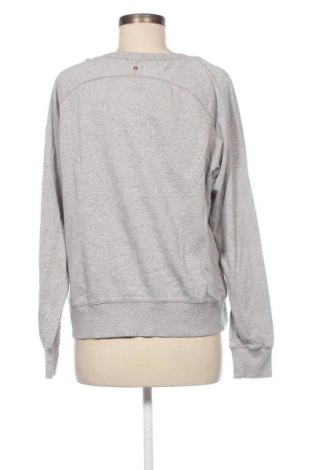 Damen Shirt Diesel, Größe M, Farbe Grau, Preis 20,80 €