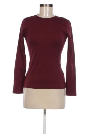 Γυναικεία μπλούζα Dorothy Perkins, Μέγεθος M, Χρώμα Ρόζ , Τιμή 5,57 €