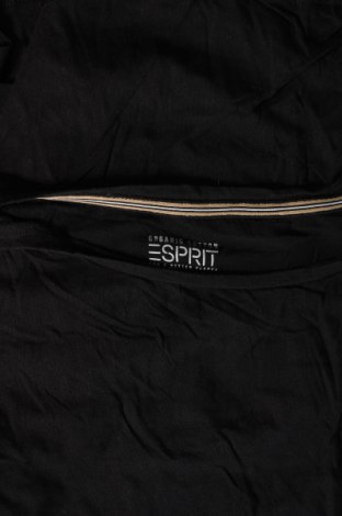 Damen Shirt Esprit, Größe S, Farbe Schwarz, Preis 16,70 €