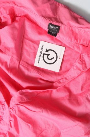 Damen Shirt Esprit, Größe L, Farbe Rosa, Preis 16,70 €