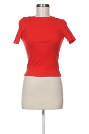 Damen Shirt FSBN Sister, Größe S, Farbe Rot, Preis 9,72 €