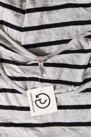 Γυναικεία μπλούζα Fishbone, Μέγεθος XS, Χρώμα Γκρί, Τιμή 3,76 €