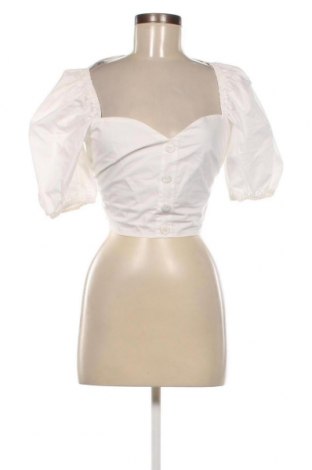 Γυναικεία μπλούζα Fracomina, Μέγεθος M, Χρώμα Λευκό, Τιμή 26,29 €