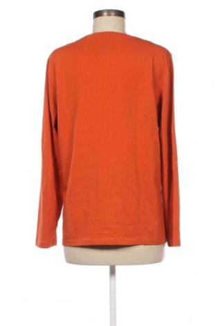 Γυναικεία μπλούζα Frank Walder, Μέγεθος XL, Χρώμα Πορτοκαλί, Τιμή 15,98 €